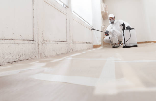 24/7 Emergency Black Mold Remediation experts in Pitman, NJ