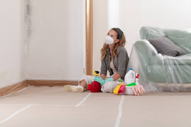 Reliable Black Mold Remediation contractor in Pitman, NJ by Car Mold Remediation